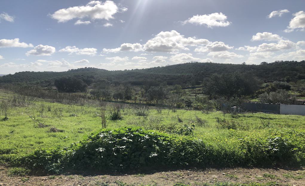 Van blijven leren naar meesterschap met getal 11