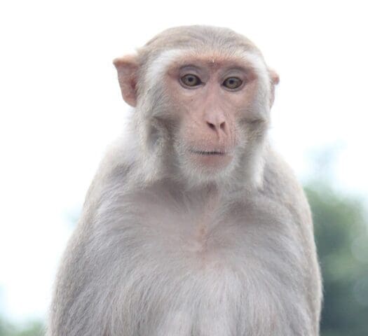 in gesprek met mijn zelf-sabotage