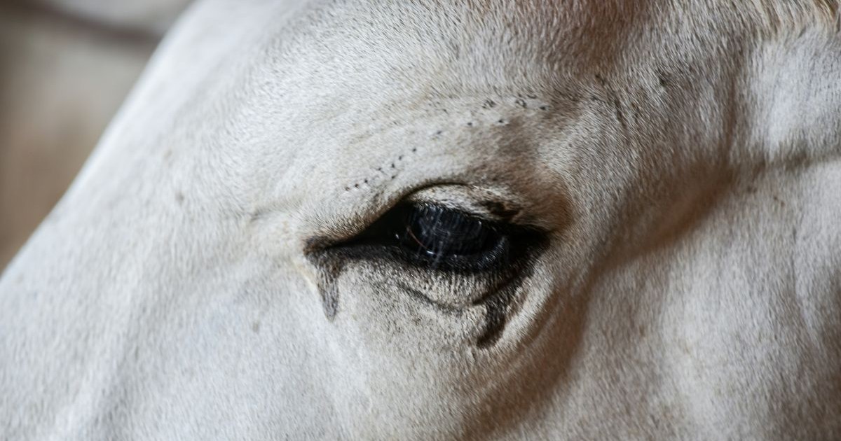 innerlijke transformatie