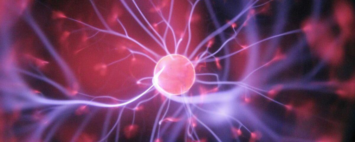 leven in lijn met je waarden