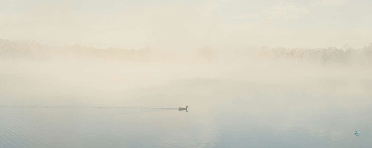 Bewustzijnsverandering