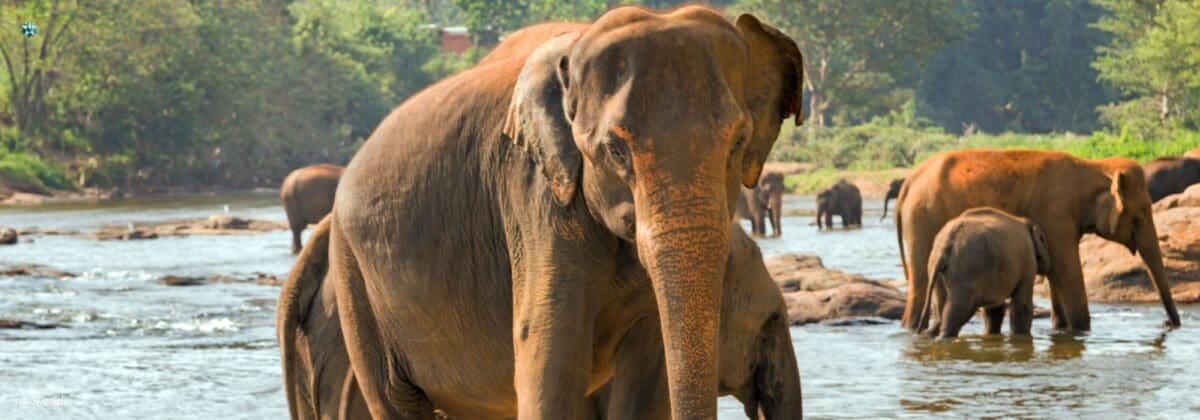 De spirituele betekenis van overgewicht: