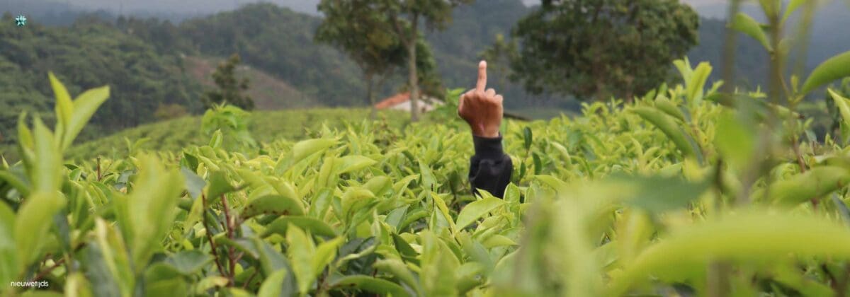 weerstand onderzoeken