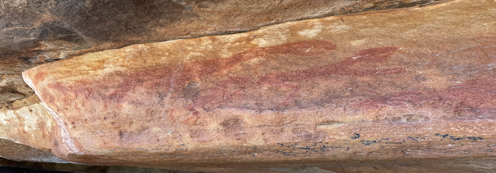 Prehistorische rotsschilderingen van de Khoi-San in Zuid-Afrika oerland